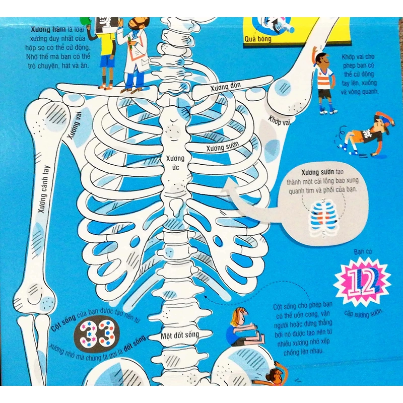 Cuốn sách khổng lồ về cơ thể người (mới) 503788