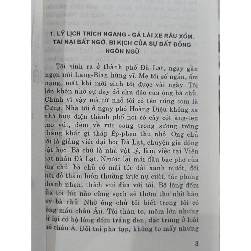 Quái cẩu Pitơchun - Đoàn Lư 1019452