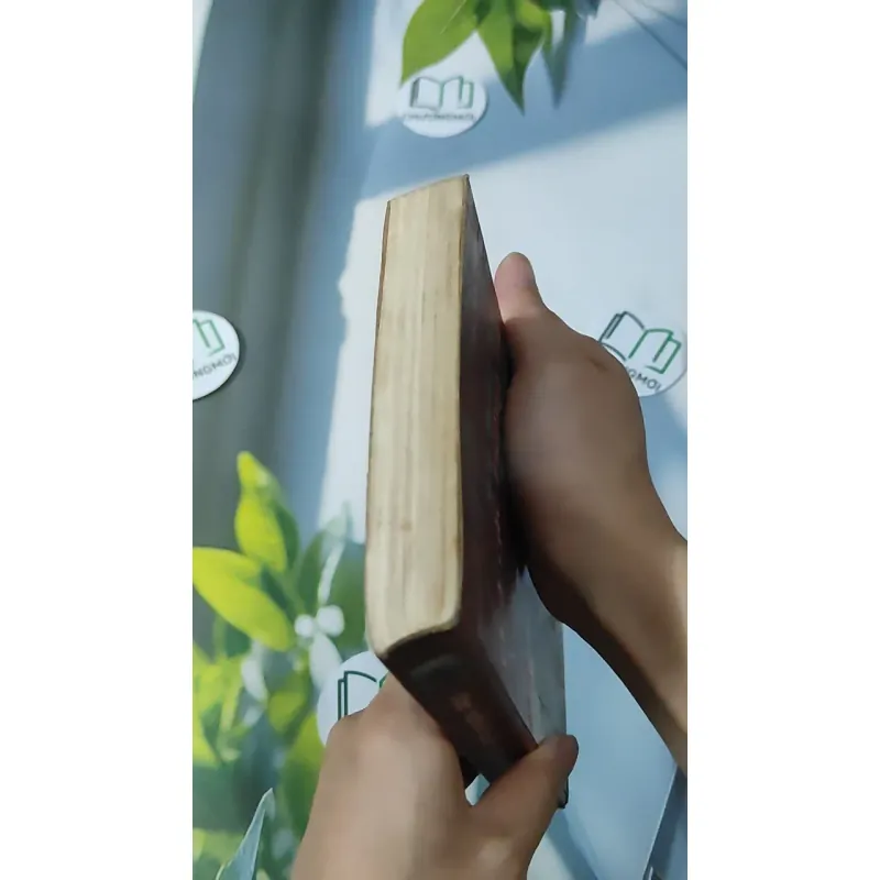 Đọc Hồi Ký Của Các Tướng Tá Sài Gòn - Cao Tự Thanh 928596