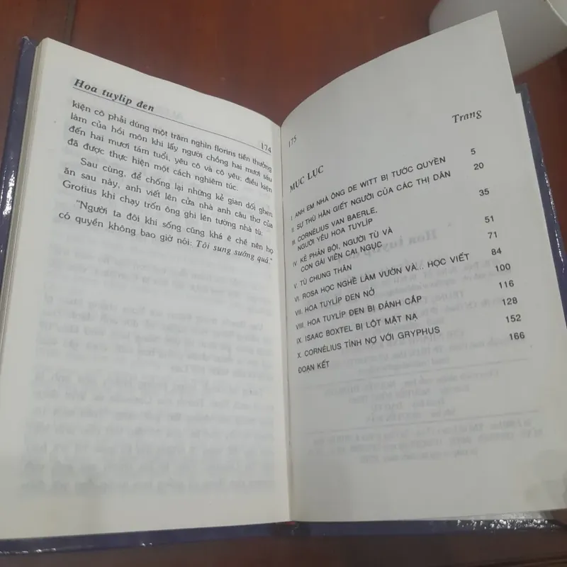 Danh tác thế giới rút gọn - HOA TUY LIP ĐEN 714634