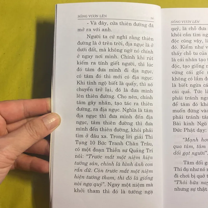 Sống Vươn Lên - Thích Thông Phương - Thiền Viện Trúc Lâm 680982