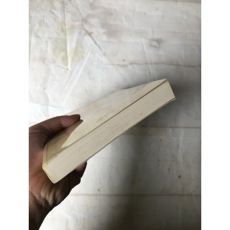 Nếu Như Được Làm Lại - Marc Levy 750853