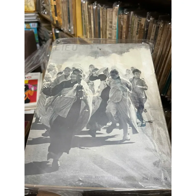 Vi phạm Nhân quyền tại Miền Nam Việt-Nam - Phái đoàn Liên Hiệp Quốc 798812