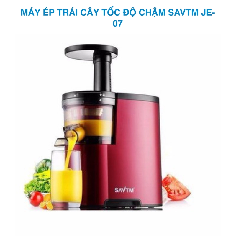 Máy ép chậm SAVTM, máy mới 260413