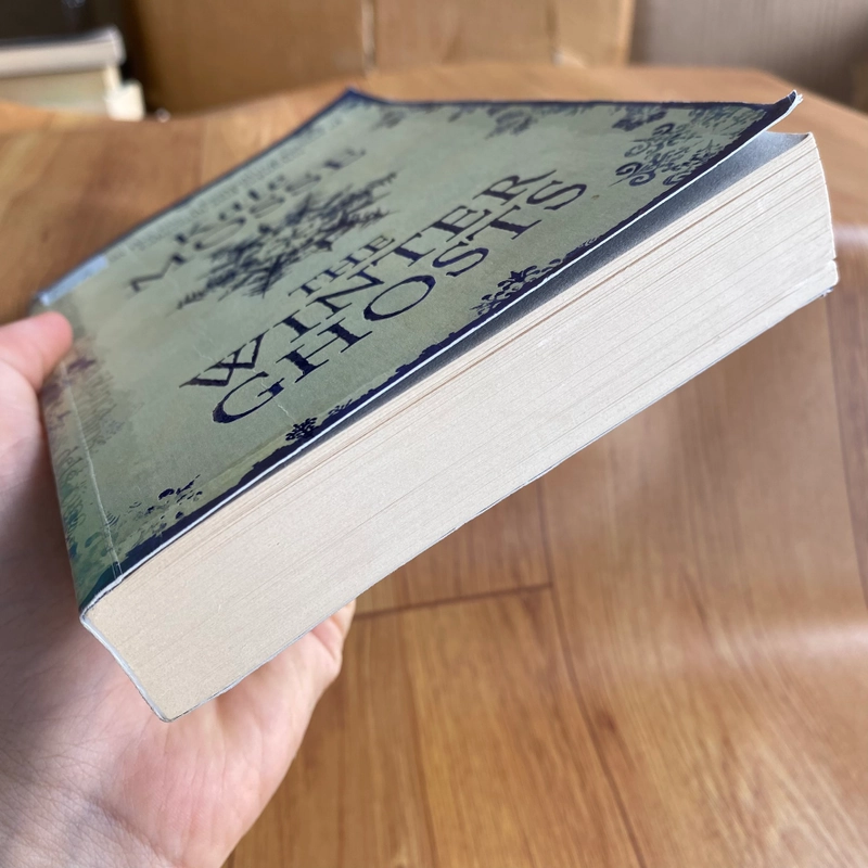 (Tiếng Anh) The Winter Ghosts - by Kate Mosse - Lion Bookstore Sách ngoại văn cũ 469444
