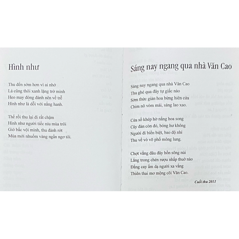 Chút Thu - Nguyễn Chu Nhạc 519661