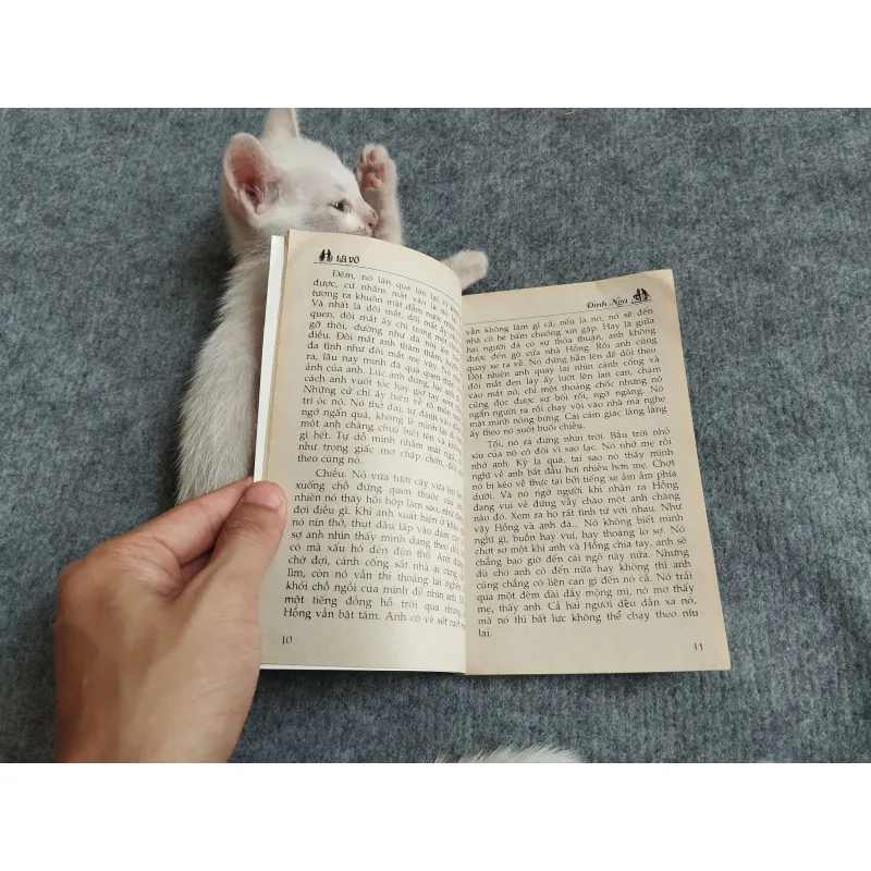 LÁ VỠ - ĐINH NGA 567791