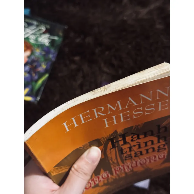 Combo 4 tác phẩm Hermann Hesse 738235