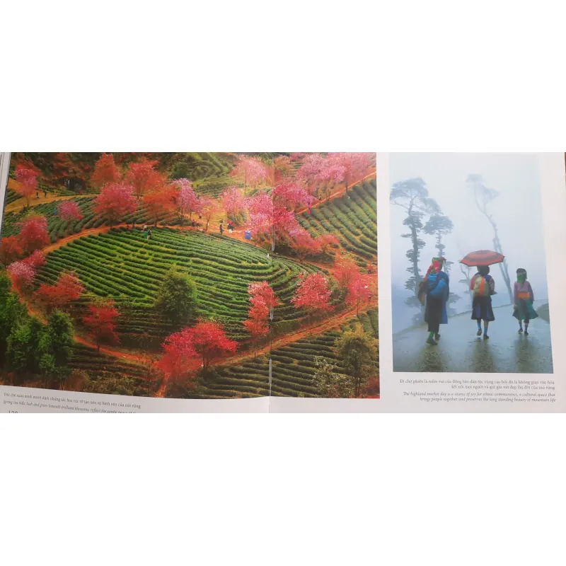 Việt Nam Hạnh phúc - HAPPY VIETNAM 711956