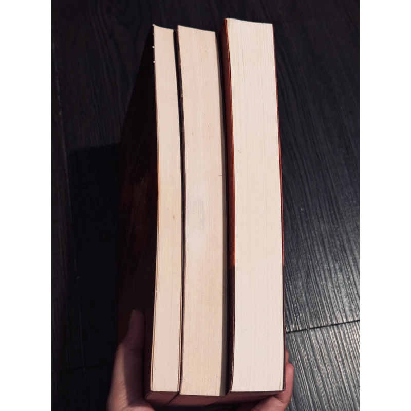 Combo 3 tác phẩm của Carlos Ruiz Zafón 507028