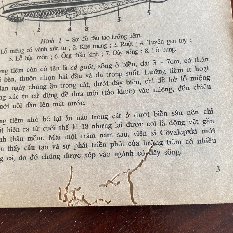 SINH HỌC 8 (XB 1998) 474361