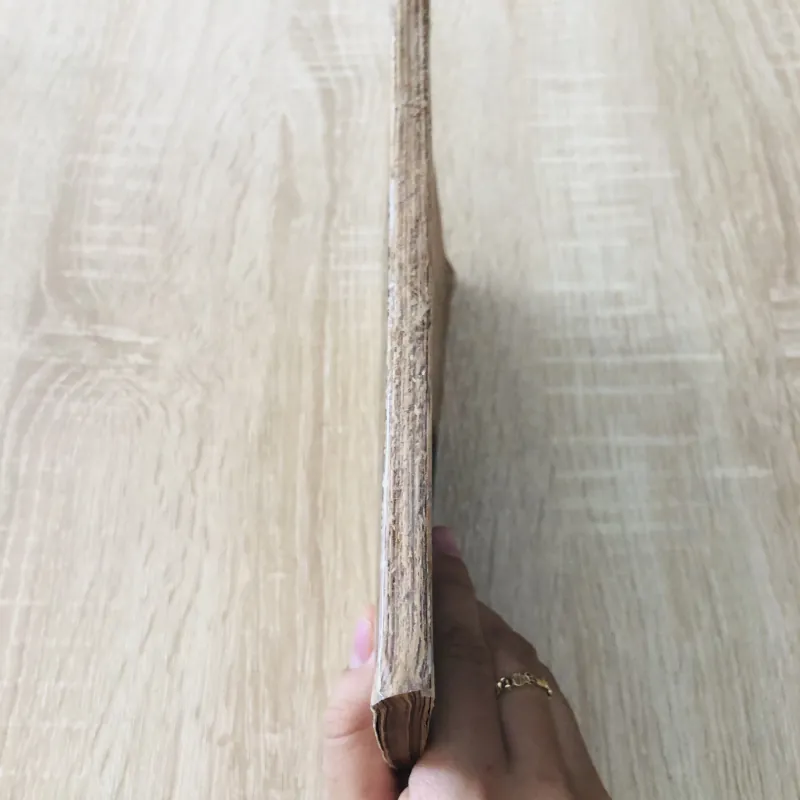 HÌNH HỌC LỚP ĐỆ TỨ 974845