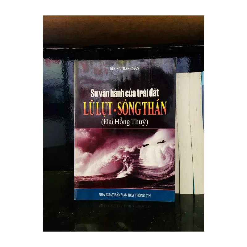 Lũ lụt và Sóng thần - Dương Thanh Mẫn 983977