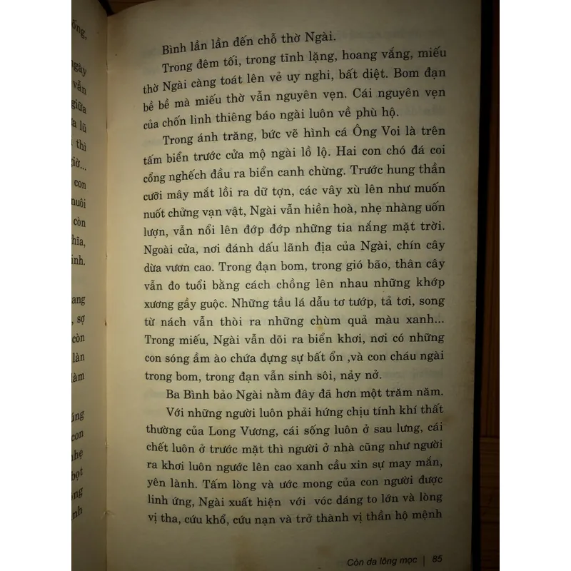 Còn da lông mọc 658172