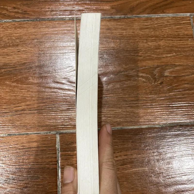 Bản sắc văn hóa Việt Nam - Phan Ngọc (8) 1031627