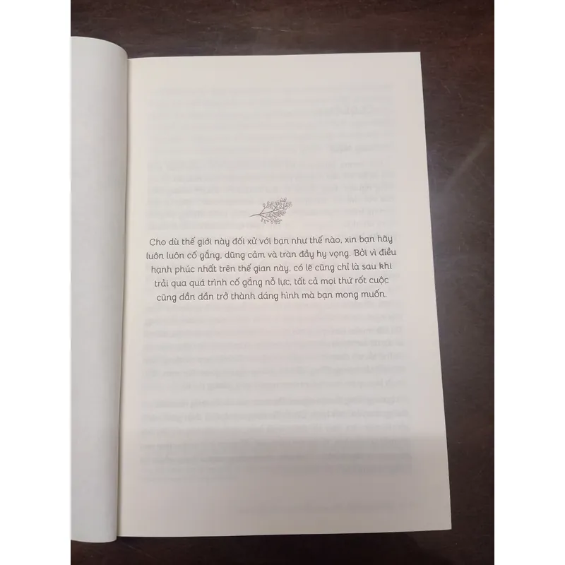 Khi bạn vừa bận vừa đẹp thì sợ chi được mất - Lương Sảng - Sách cũ 643179