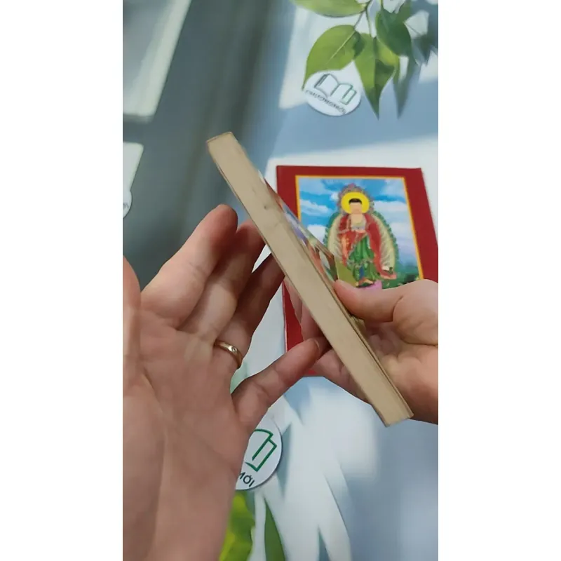 Lược Giải Kinh A Di Đà (Tặng Kinh A Di Đà Nghĩa) - Ngô Trọng Đức 776118