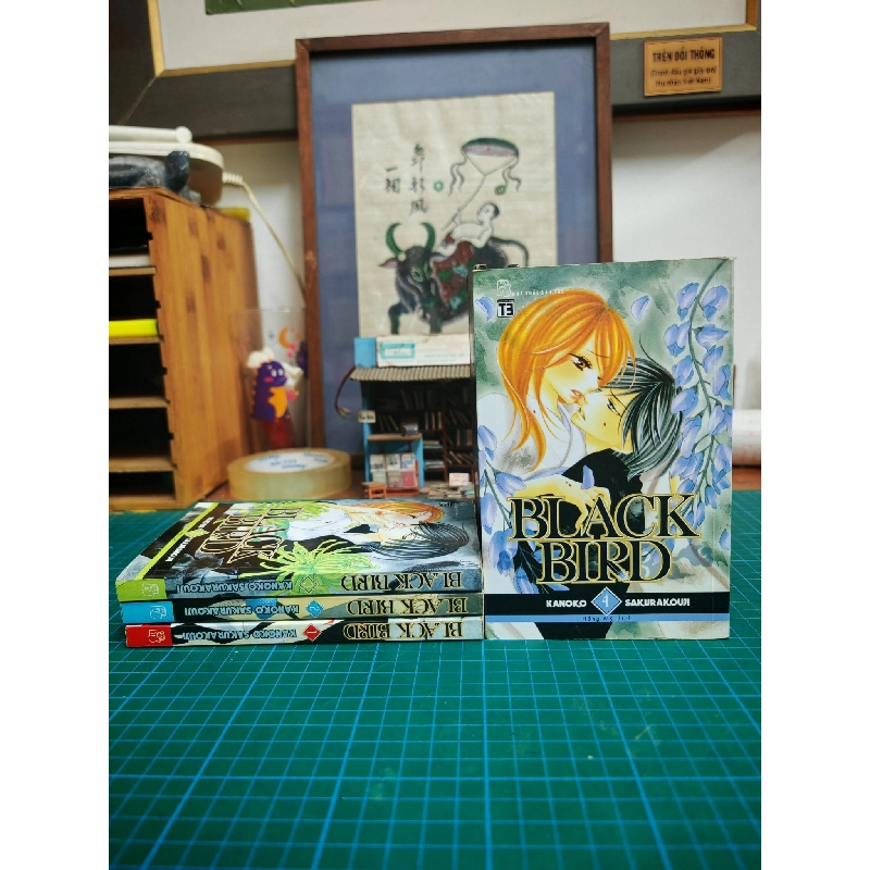 Truyện tranh Black Bird 734011