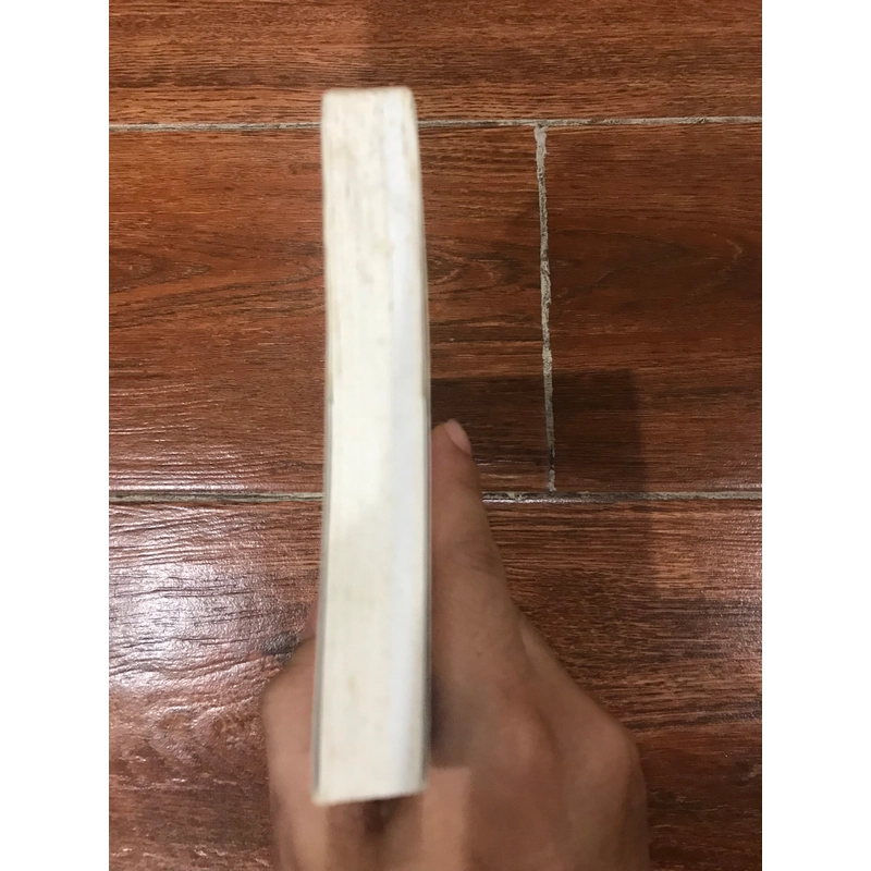 Chân đi không mỏi - Đinh Hằng hành trình Đông Nam Á (k4) 542165