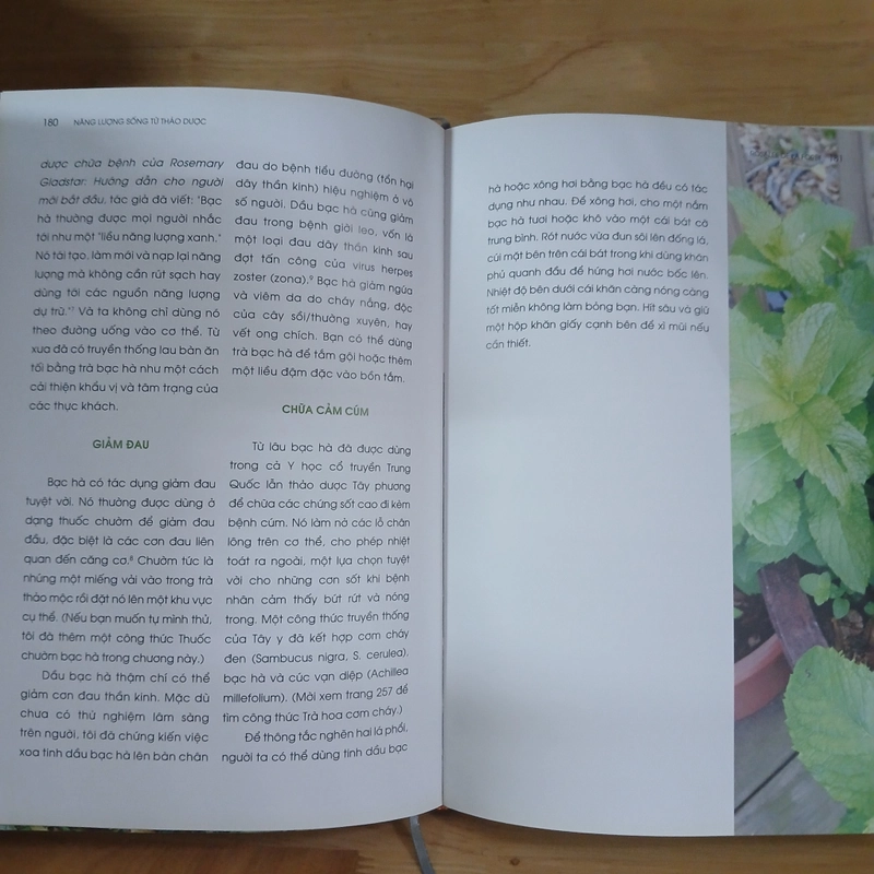 Năng Lượng Sống Từ Thảo Dược - Rosalee De La Forêt 529080