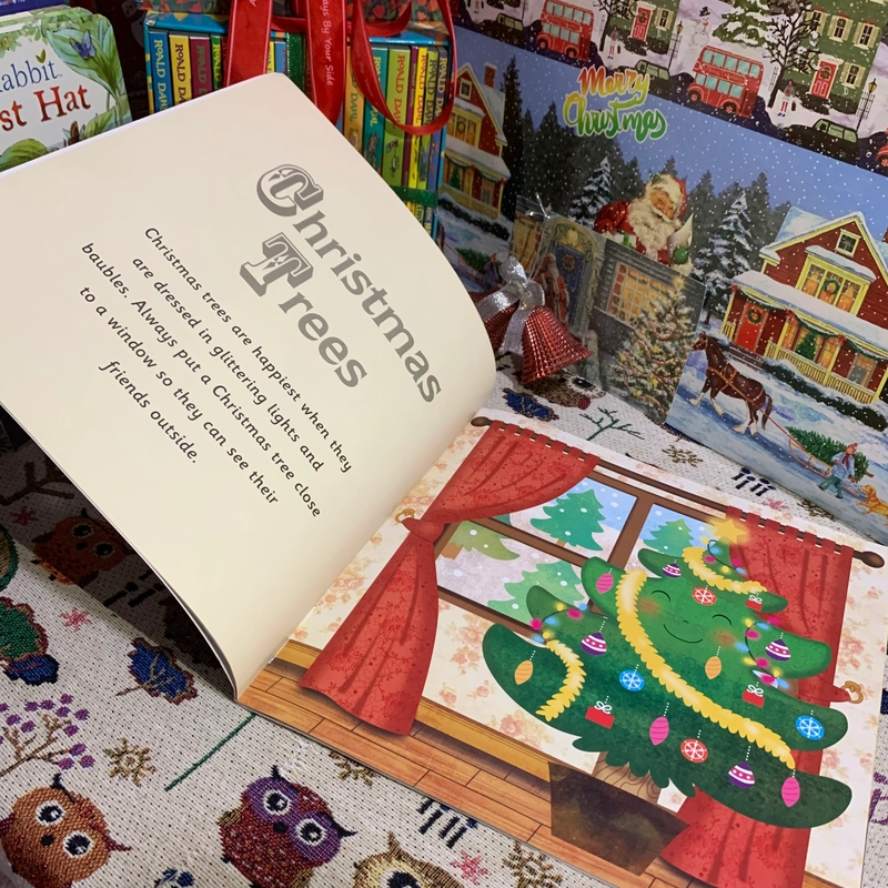 Sách tranh tiếng anh When I Dream of Christmas, Used 463595