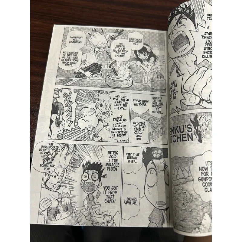 DR. Stone 2- Riichiro Inagaki boichi 599711