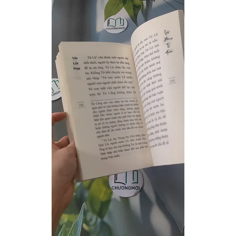 Liễu Phàm Tứ Huấn - Viên Liễu Phàm 928498