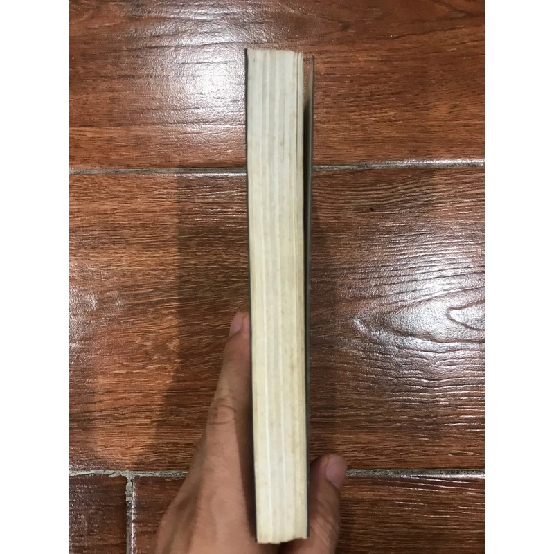 Tướng râu kẽm - Hàn Thế Dũng (9) 458709