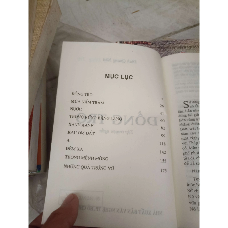 Đồng tro - Đinh Quang Nhã (Văn học Việt Nam) VAVO 1028598