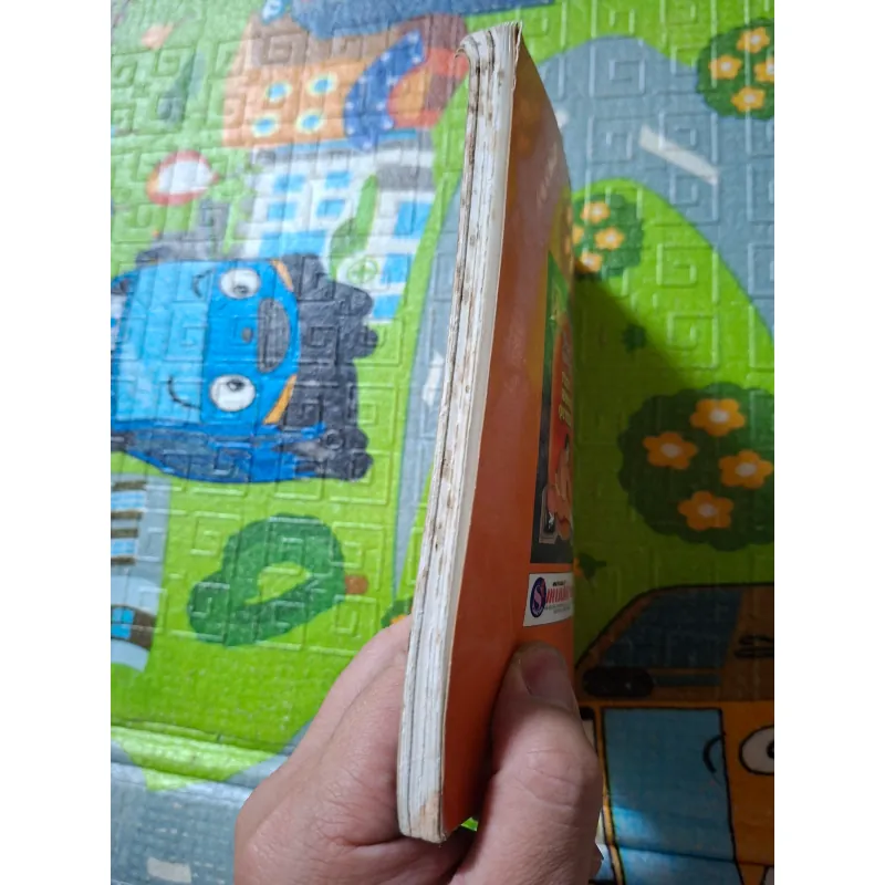 Thiếu Lâm Tự - Tiểu Hồng Quyền 1029086