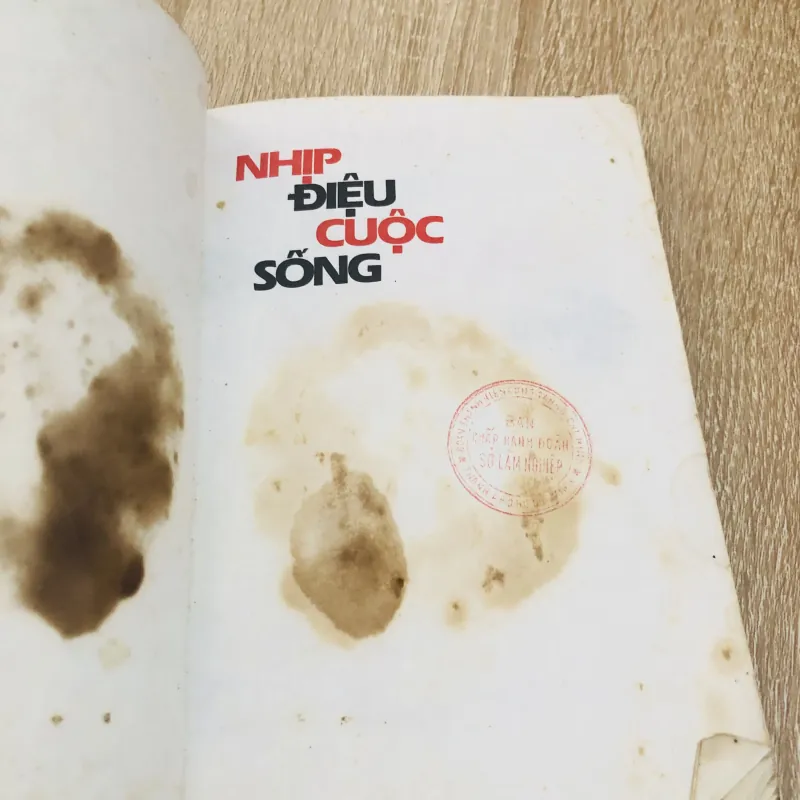 NHỊP ĐIỆU CUỘC SỐNG  929079