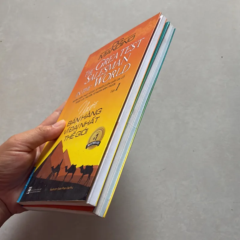 Người bán hàng vĩ đại nhất thế giới (2 tập) (t01) 750337