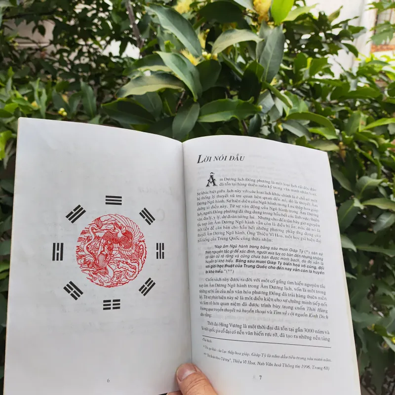 Thời Hùng Vương & Bí Ẩn Lục Thập Hoa Giáp - Nguyễn Vũ Tuấn Anh 722522