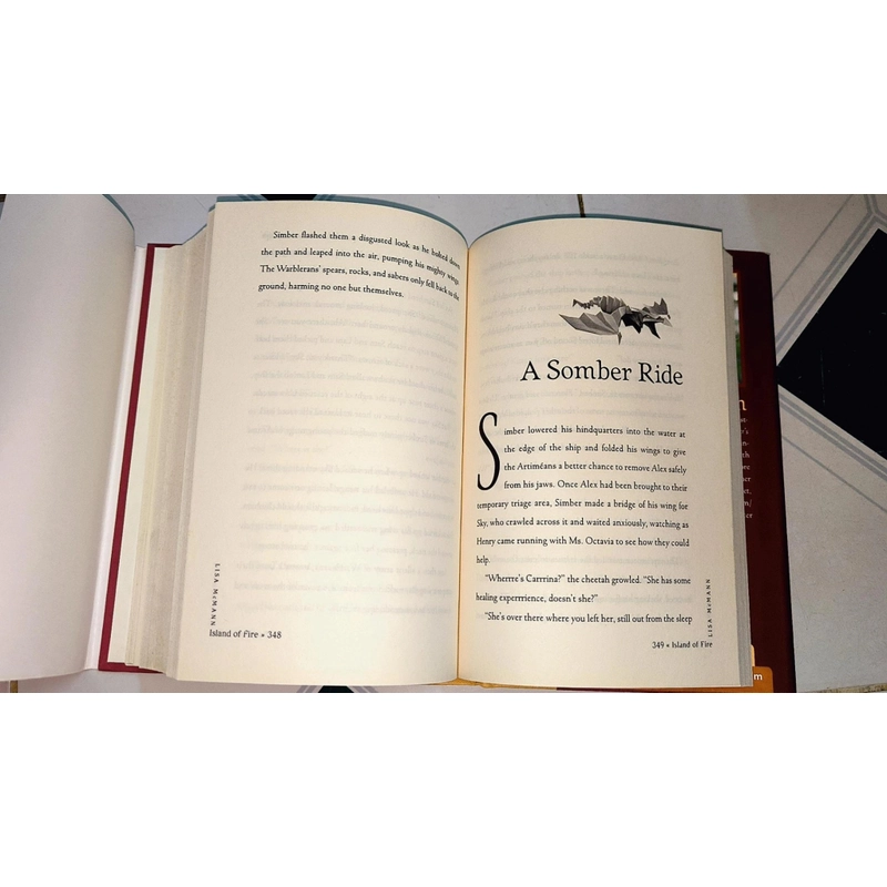 Sách Chapter: The Unwanteds  - Island of Fire (Lisa McMann) #NYT Bestselling series  470396