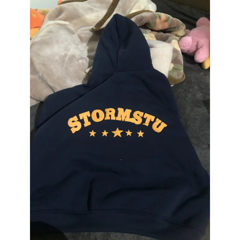 Áo hoodie zip 798033