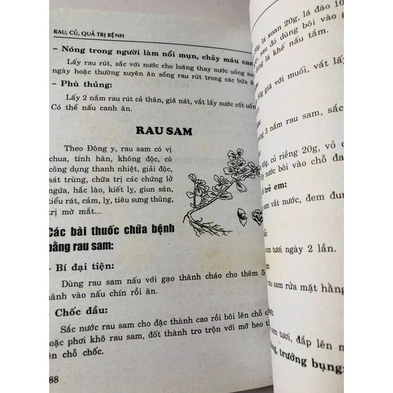 NHỮNG BÀI THUỐC DÂN GIAN RAU, CỦ, QUẢ TRỊ BỆNH  455862