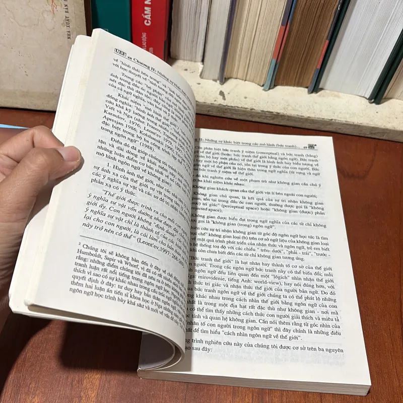 II Ngôn Ngữ Học Tri Nhận _ Từ Lý Thuyết Đại Cương Đến Thực Tiễn Tiếng Việt - Lý Toàn Thắng 722510