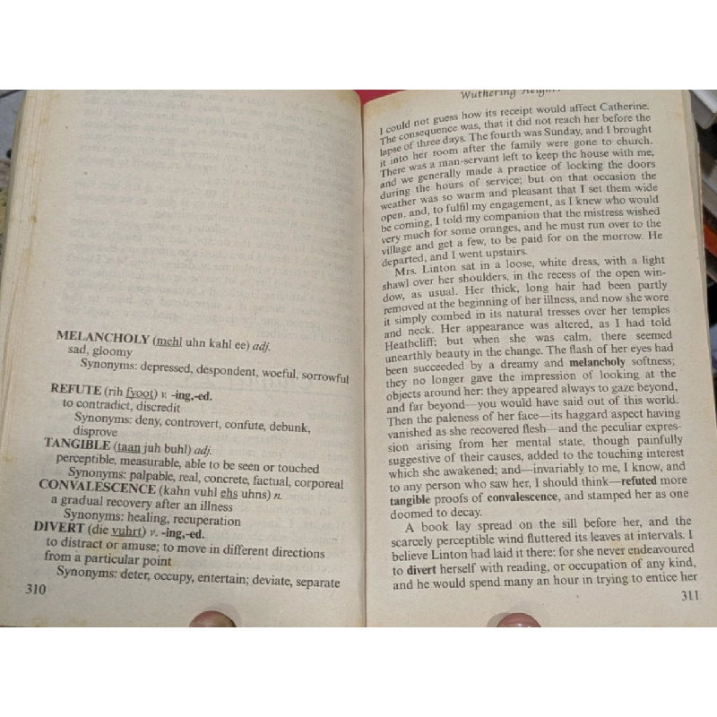 Wuthering Heights - Emily Bronte 797462