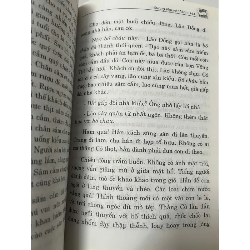 Đi qua đồng chiều – Sương Nguyệt Minh 991839