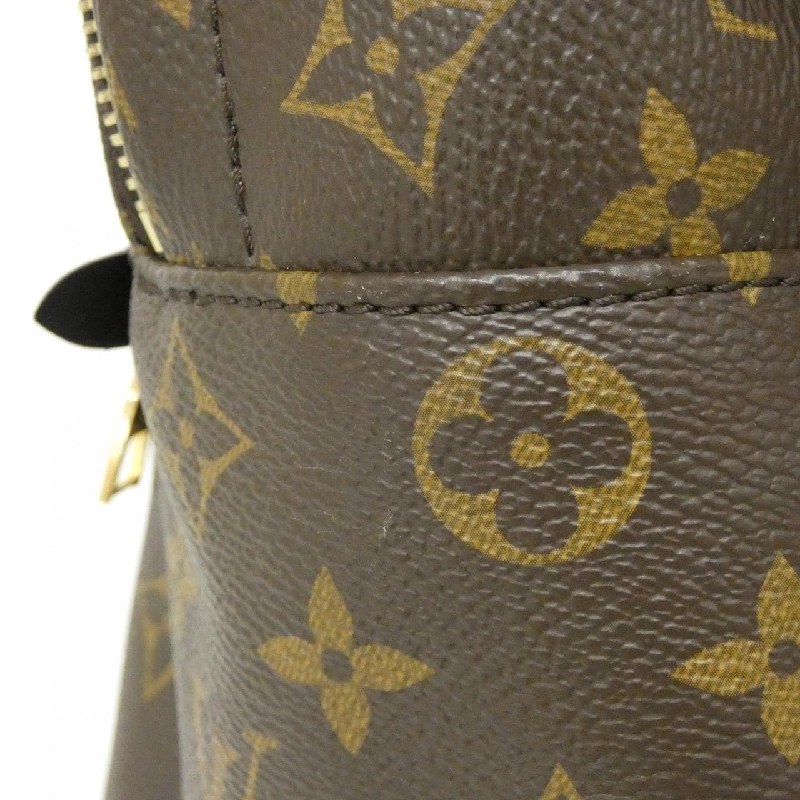 Ba lô Louis Vuitton Monogram Palm Springs PM M44871 608287