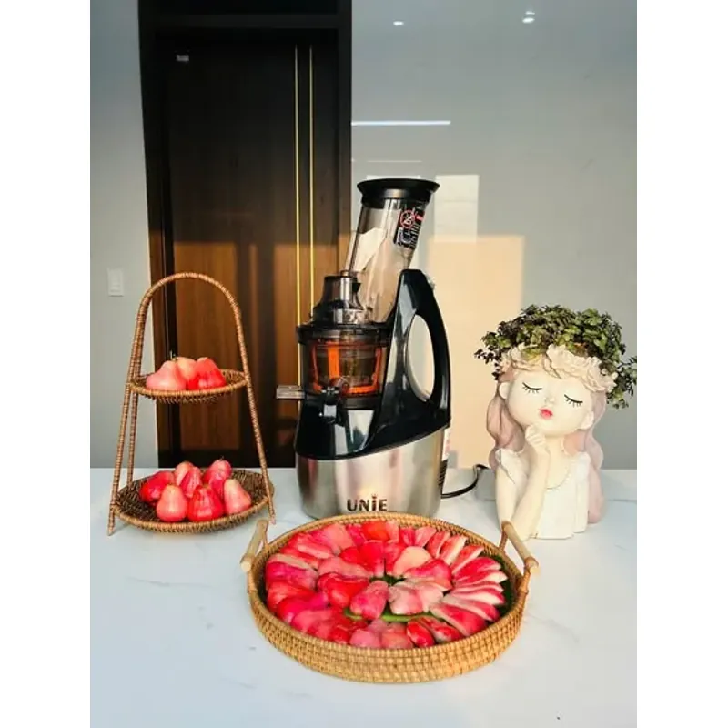 MÁY ÉP CHẬM UNIE UE-580 746837