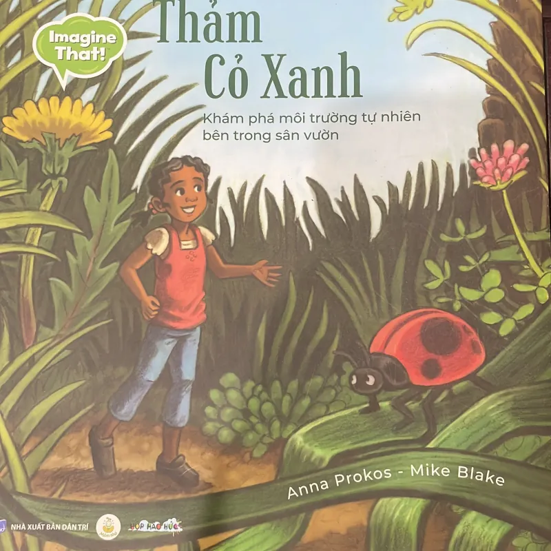 Thảm cỏ xanh - khám phá môi trường tự nhiên bên trong sân vườn  - hộp háo hức  1028175