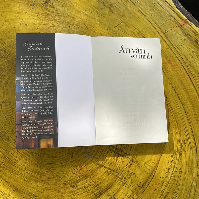 ÁN VĂN VÔ HÌNH- LOUIS ERDRICH 689647