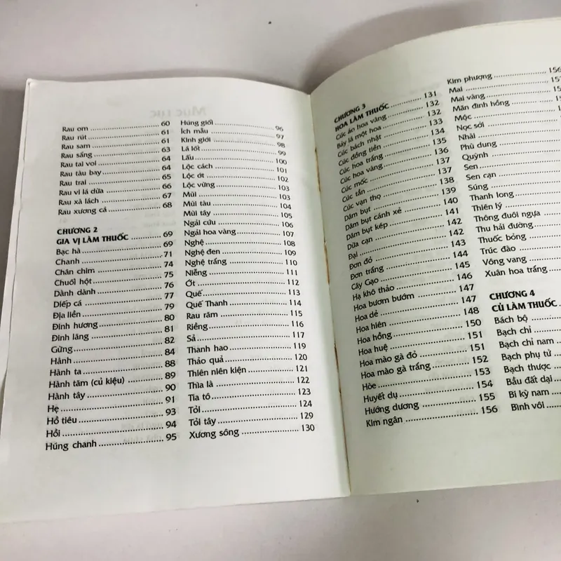 THUỐC NAM CHỮA BỆNH TỪ RAU - HOA - CỦ - QUẢ - RAU HOA CỦ LÀM THUỐC 603492