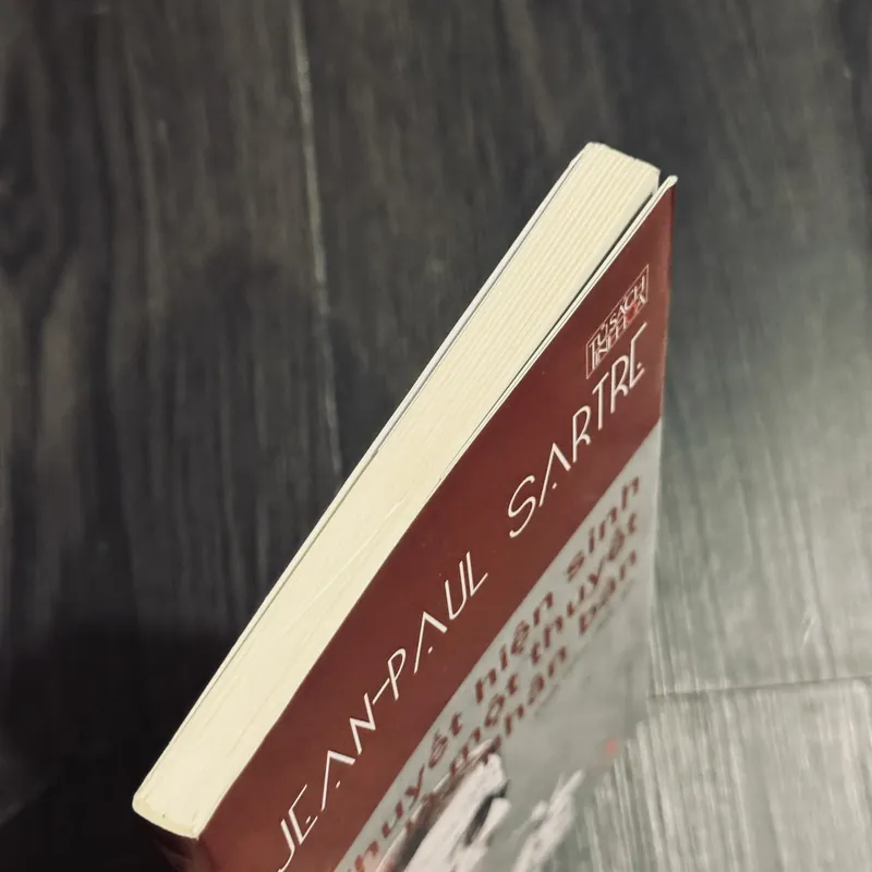 Thuyết hiện sinh là một thuyết nhân bản 695072