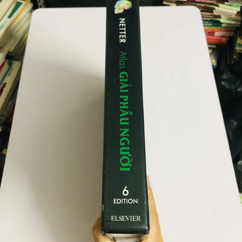 ATLAS GIẢI PHẪU NGƯỜI 6 695043