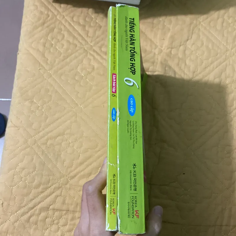 Tiếng Hàn Tổng Hợp Dành Cho Người Việt Nam cao cấp 6 - Kèm Sách Bài Tập 799480