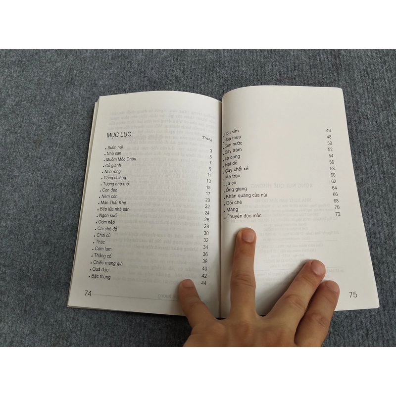 RỪNG NÚI QUÊ HƯƠNG 539791
