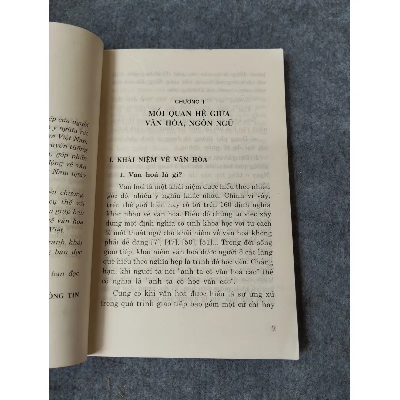 VĂN HOÁ VÀ NGÔN NGỮ GIAO TIẾP CỦA NGƯỜI VIỆT 719892