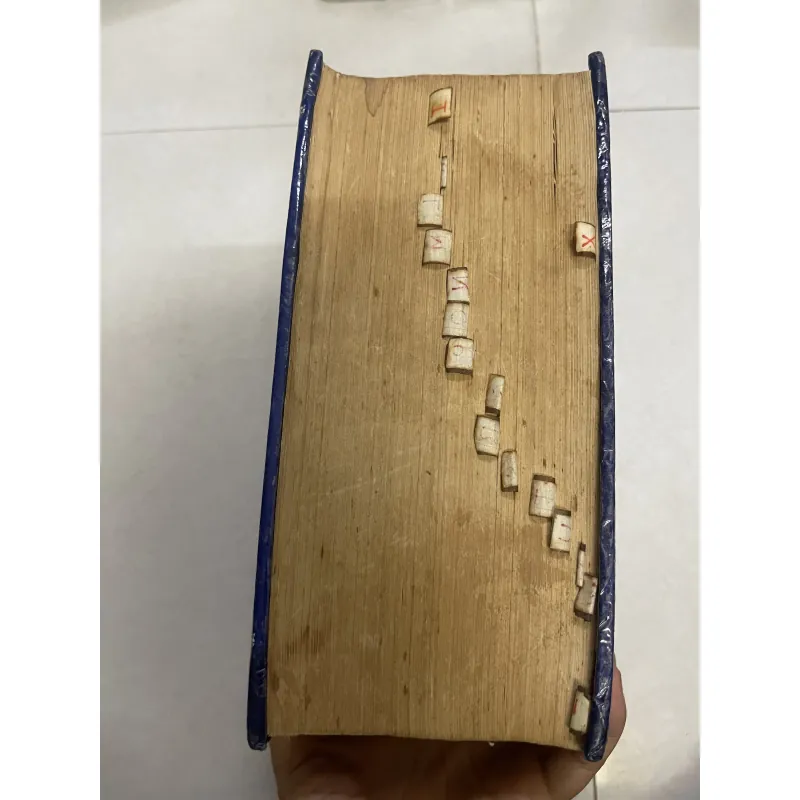 Từ điển Anh việt  1046878